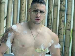 Mattseil