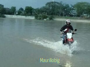 Maurillobig