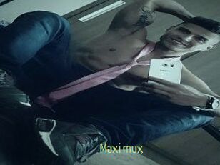 Maxi_mux