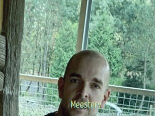 Meesterv