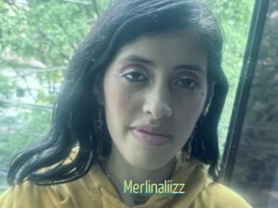 Merlinaliizz