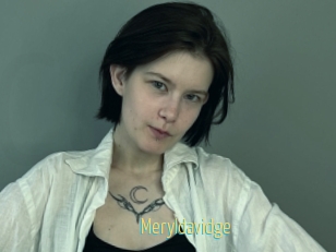 Meryldavidge