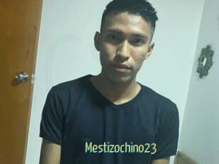 Mestizochino23
