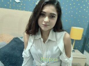 Mini_puca