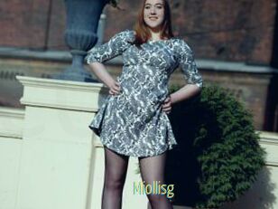 Miollisg