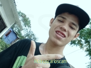Molinascarloscam