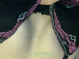 Moonflower