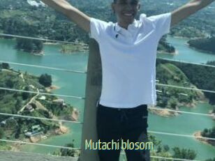 Mutachi_blosom