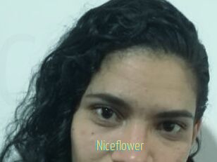 Nice_flower