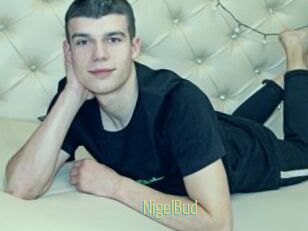 NigelBud