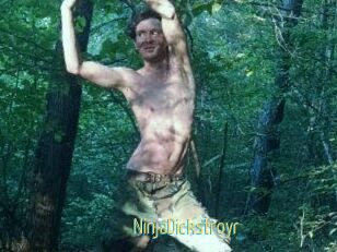 NinjaDickstroyr
