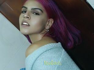 NoaDavis
