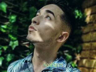 NoaHarris
