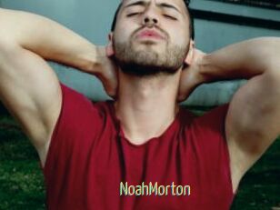 NoahMorton