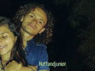 Nattandjunior