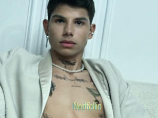 Nedfollin