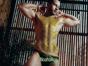Noahallen