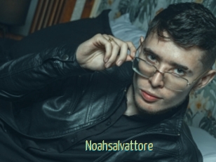 Noahsalvattore