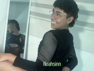 Noahsinn
