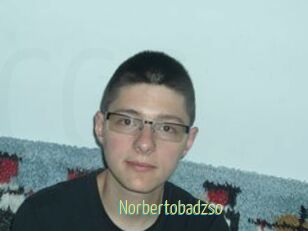 Norbertobadzso