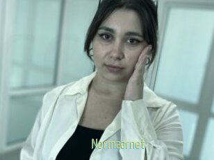 Normaarnet