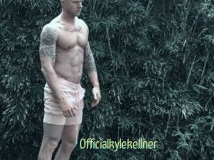 Officialkylekellner