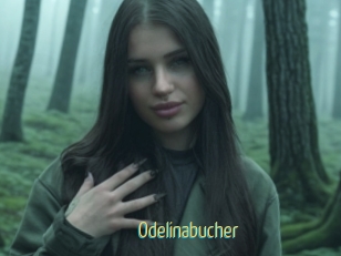 Odelinabucher