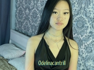 Odelinacantrill