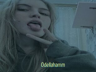 Odellahamm