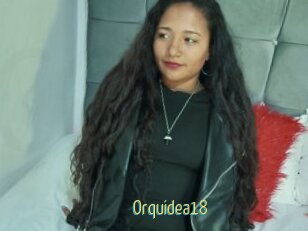 Orquidea18