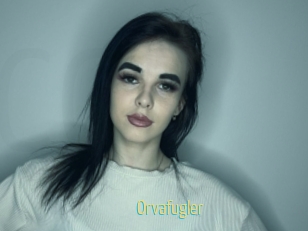 Orvafugler