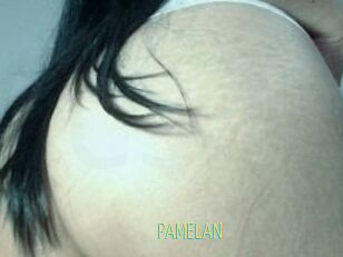 PAMELA_N