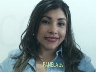 PAMELA_zv