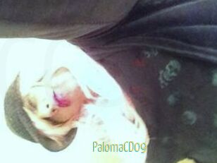 PalomaCD09