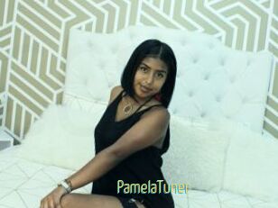 PamelaTuner