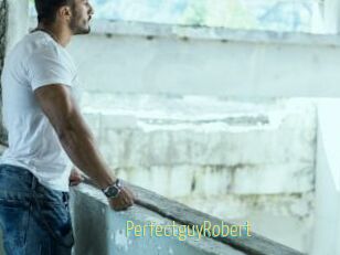 PerfectguyRobert