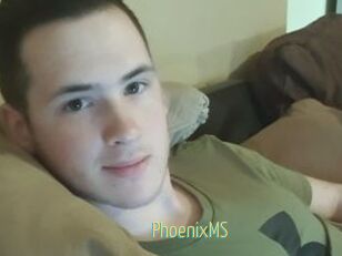 PhoenixMS