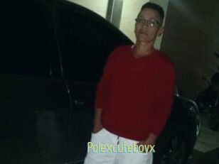 Polexcuteboyx