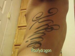 Poofydragon