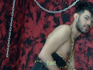 Palet