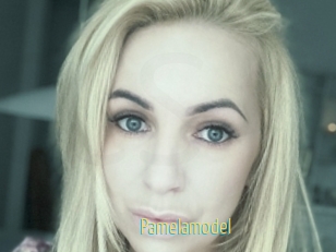 Pamelamodel