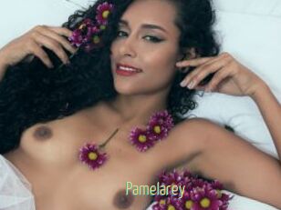Pamelarey