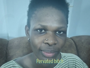 pervated_bitch Chaturbate Cam Sexe