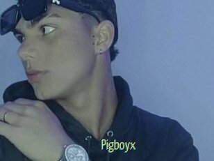 Pigboyx