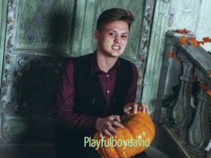 Playfulboydavid
