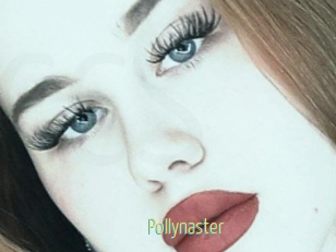 Pollynaster