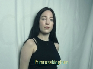 primrosebingham Chaturbate Cam Sexe