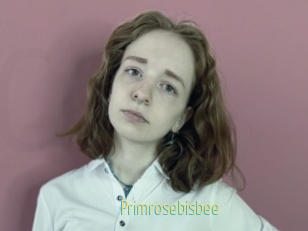 Primrosebisbee