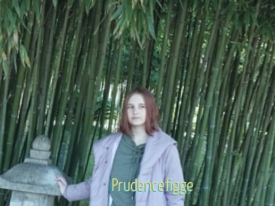 Prudencefigge