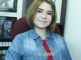 Pumaplayful